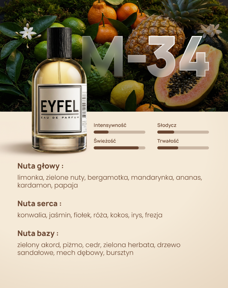 Eyfel Męska M34 - ONE