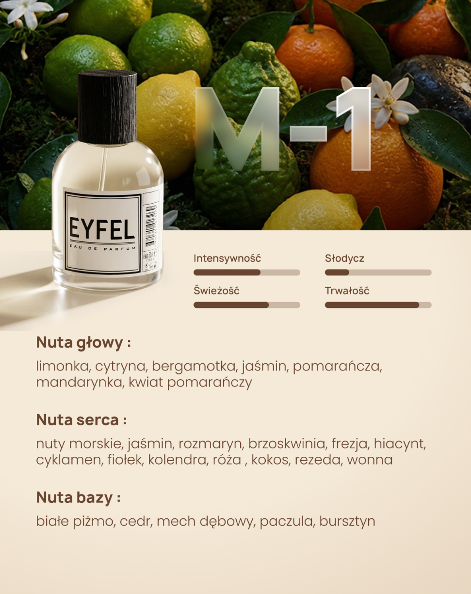 Eyfel Eau de Parfum Men 50 ml - M1