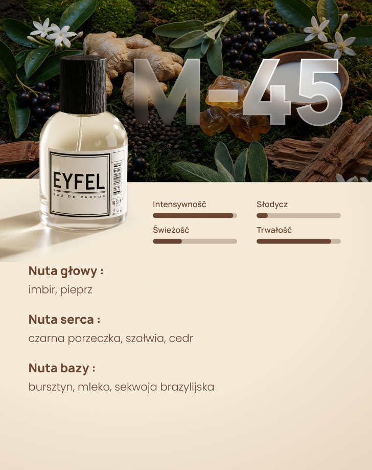 Eyfel Eau de Parfum Men 50 ml - M45