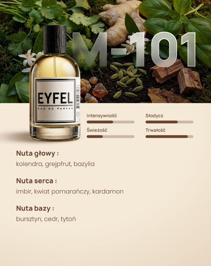 Eyfel Męska M101 - THE ONE