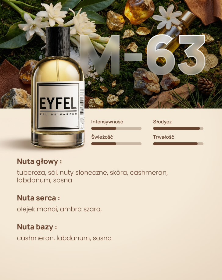Eyfel Eau de Parfum Men 100 ml - M63