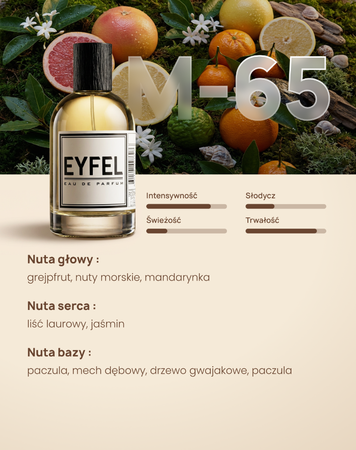Eyfel Eau de Parfum Men 100 ml - M65