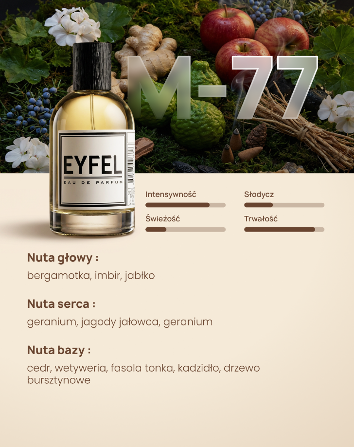 Eyfel Męska M77 - Y