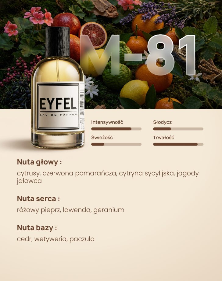 Eyfel Męska M81 - K.KING