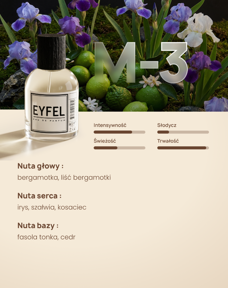 Eyfel Eau de Parfum Men 50 ml - M3