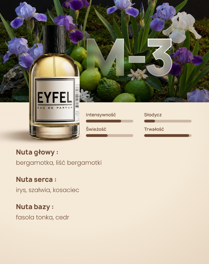 Eyfel Męska M3   - BLACK CODE