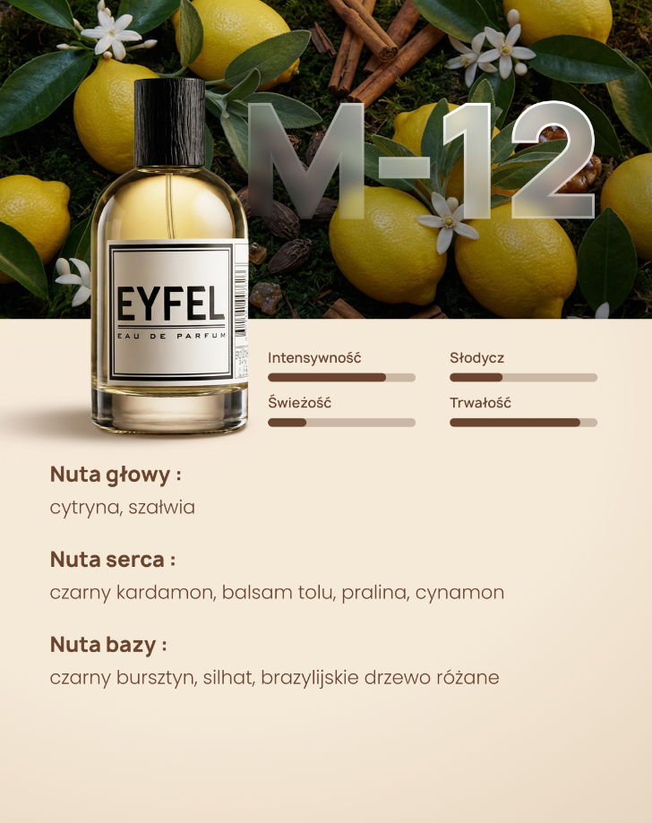 Eyfel Męska M12 - BLACK XS