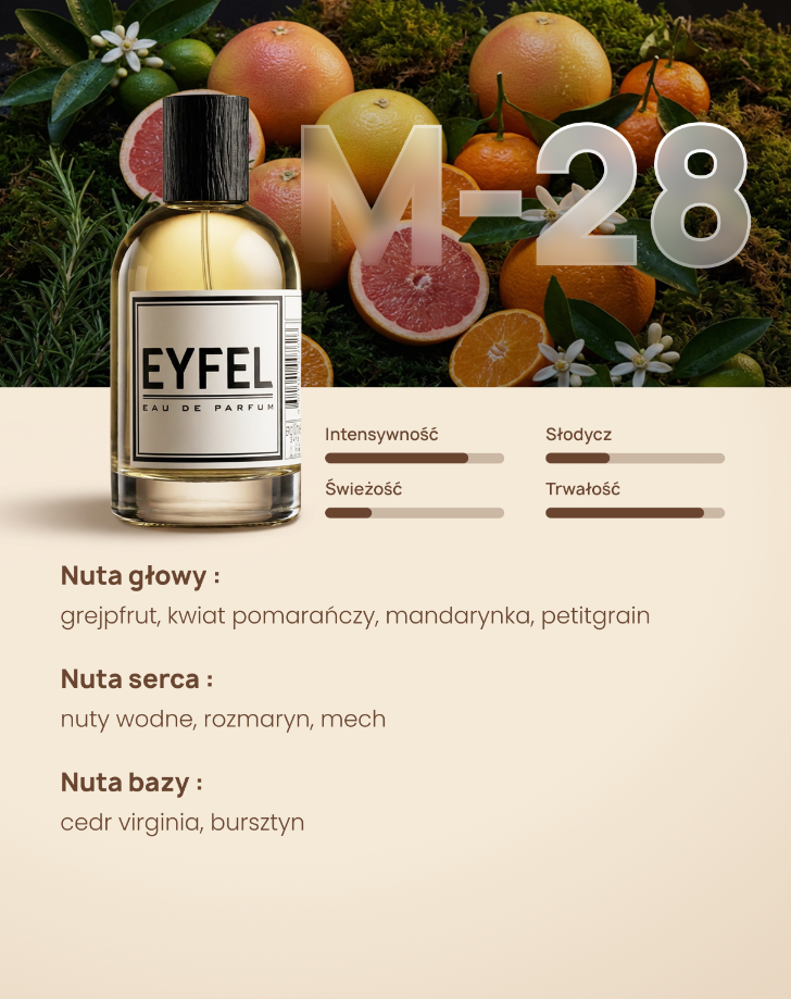 Eyfel Męska M28 - AQVA MARINE