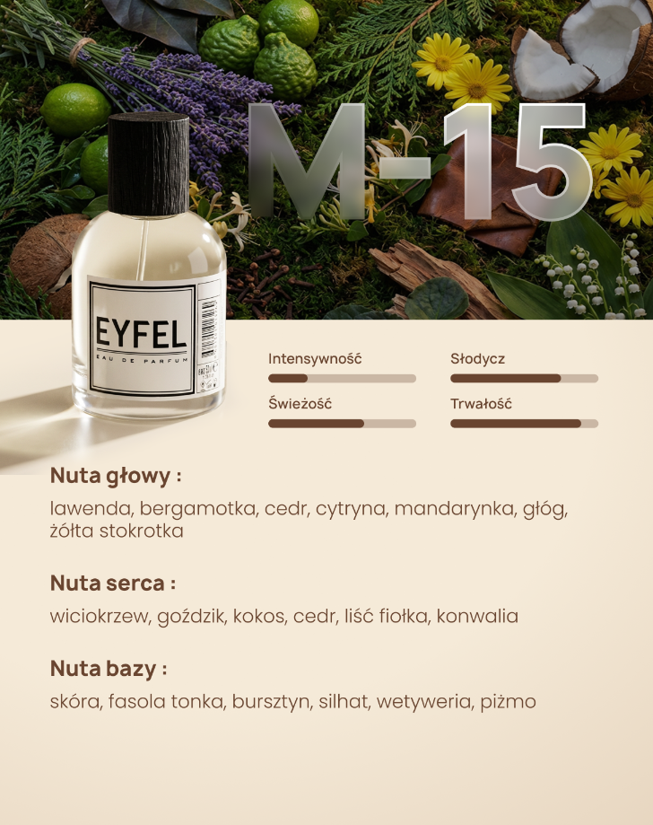 Eyfel Eau de Parfum Men 50 ml - M15