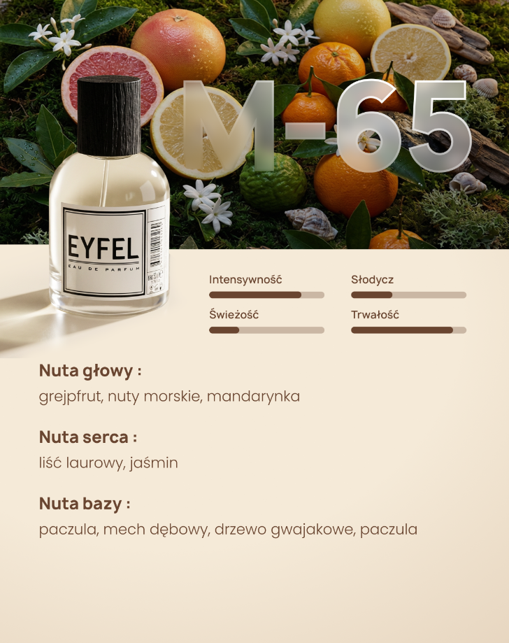 Eyfel Eau de Parfum Men 50 ml - M65