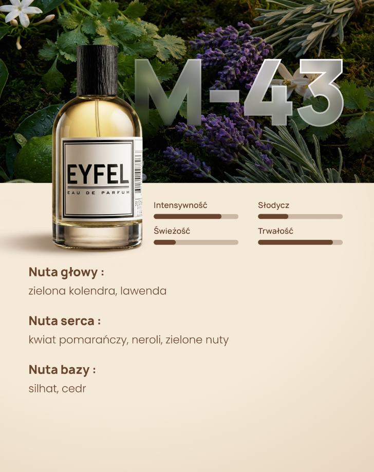 Eyfel Męska M43 - GUILTY BLACK