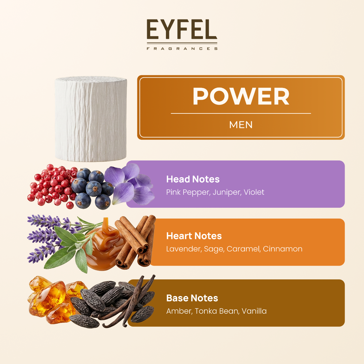 EYFEL Perfumy Męskie - Power - Stronger With You Intensely