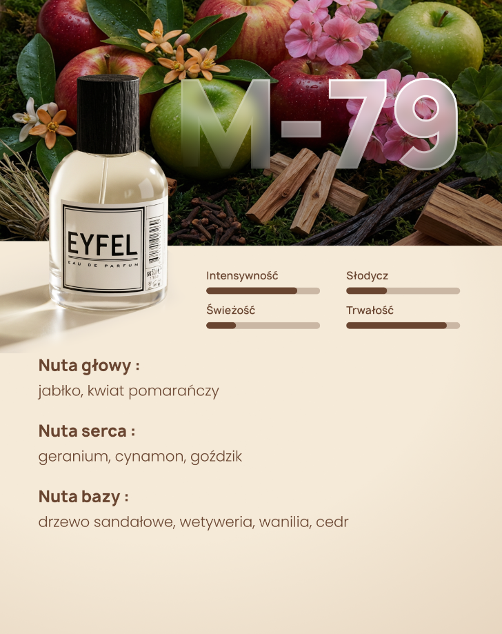 Eyfel Eau de Parfum Men 50 ml - M79