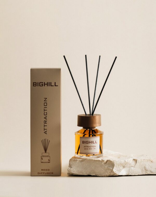 Bighill-BIG- RD-19  ATTRACTION