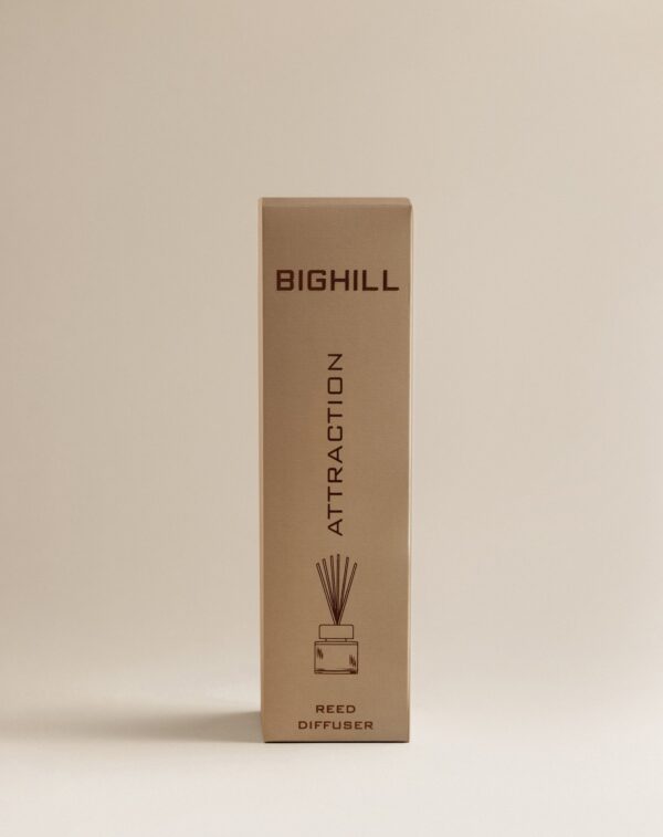 Bighill-BIG- RD-19  ATTRACTION - Image 2
